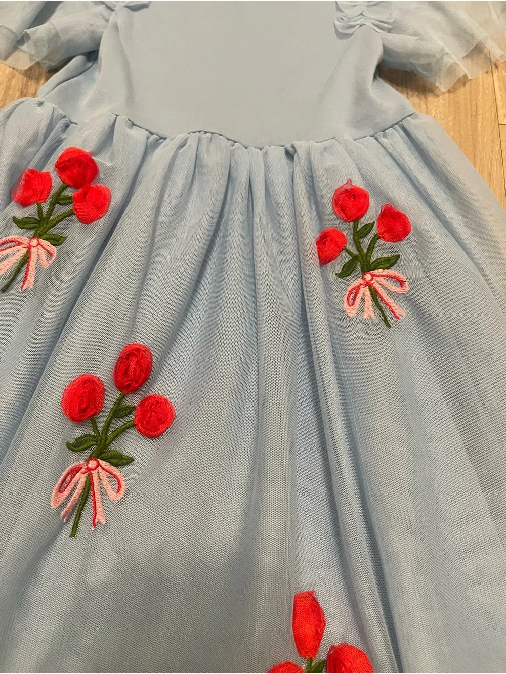 Mini Boden Light Blue Tulle Dress with Red Floral Embroidery